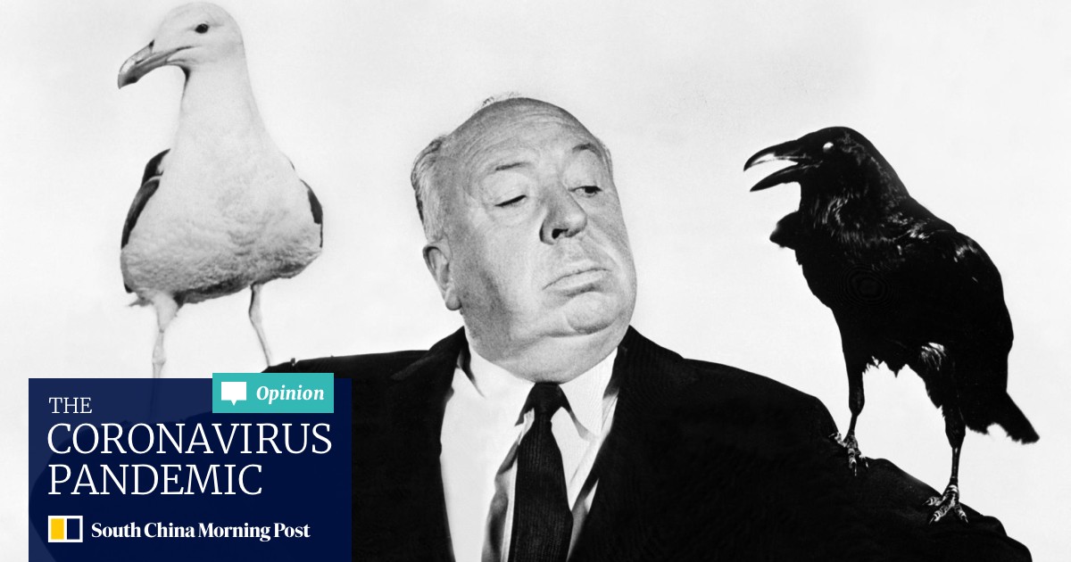 Alfred Hitchcock Every Film Dissected In New Appreciation Of Director S Genius By Taschen South China Morning Post