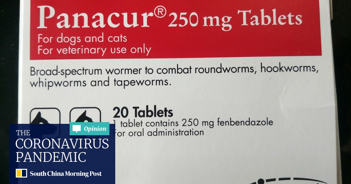 Does Dog Wormer Cure Cancer Does Dog Wormer Cure Cancer