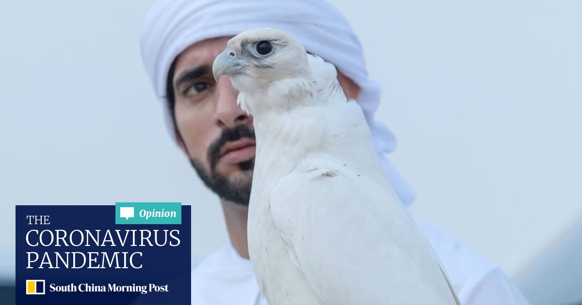 Sheikh Hamdan Crown Prince Of Dubai 4 Things To Know About The Politician Philanthropist Car Collector And Thrill Seeking Heir South China Morning Post