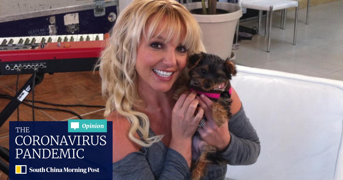 How Britney Spears Made Her Us 59 Million Fortune And What She Spends All That Money On South China Morning Post