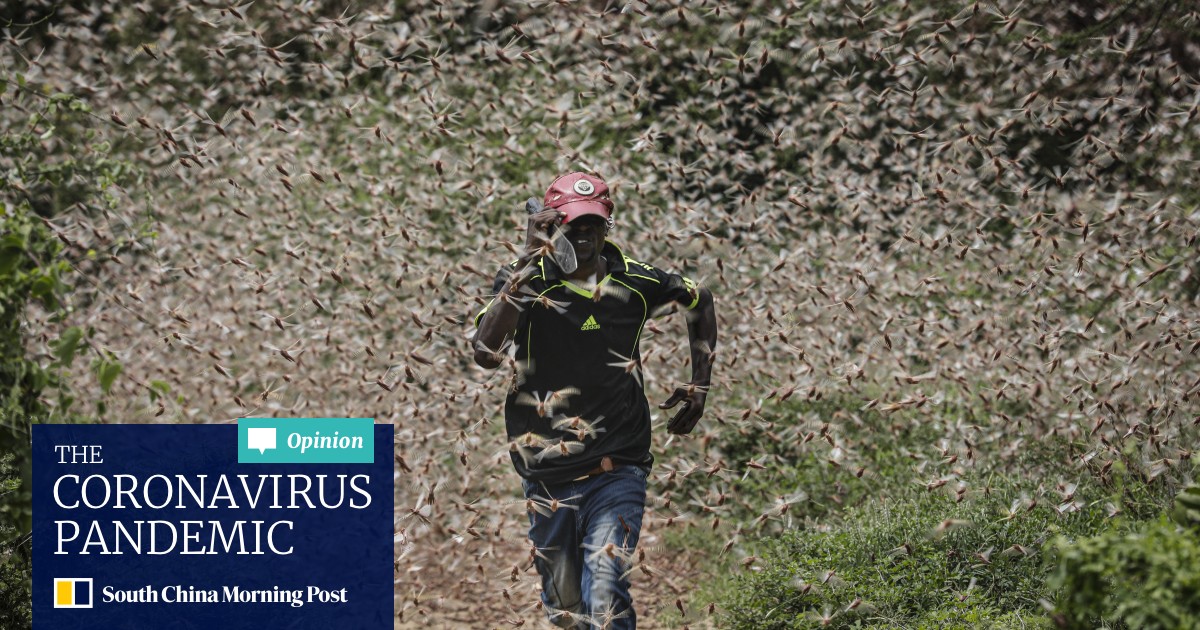 Skies Go Black In Africa S Worst Locust Plague In Decades South