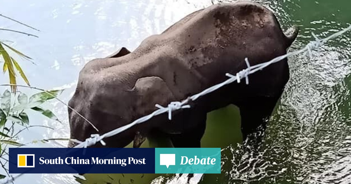 Bollywood Celebrities Join Outpouring Of Grief As Pregnant