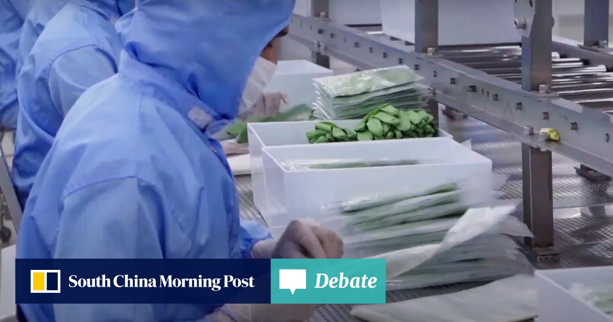 Malaysia S Smart Glove To Look Into Forced Labour Claims After Us Import Ban South China Morning Post