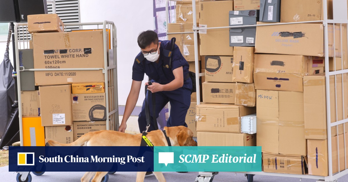 Hong Kong customs' 4 detection dogs report for duty to sniff out