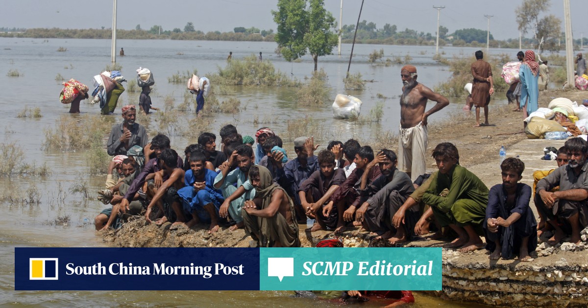 COP27 ‘loss and damage’ deal offers hope on climate cooperation - South China Morning Post