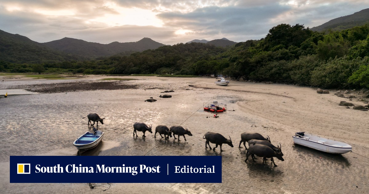 Opinion | Balance conservation and development on Hong Kong's South Lantau - Vimarsana News