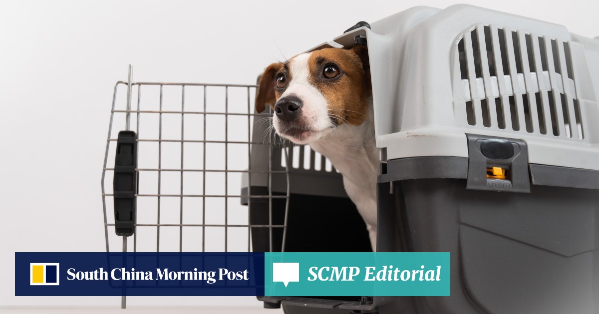 Editorial | Hong Kong must strike right balance on imported pets ...