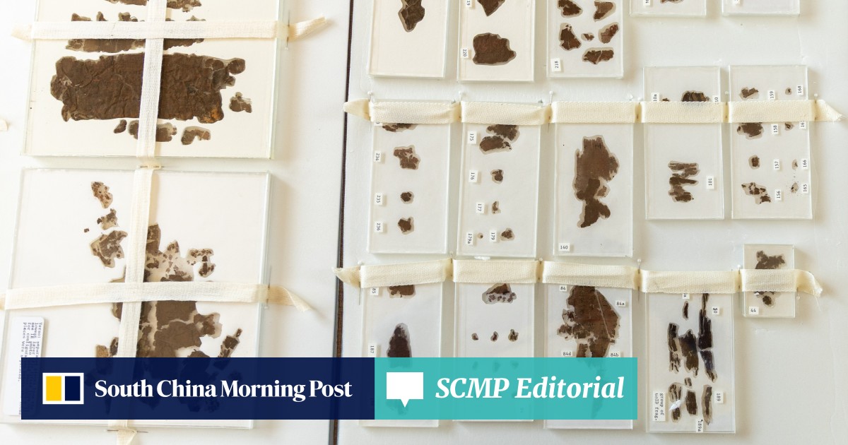 https://cdn.i-scmp.com/sites/default/files/styles/og_image_scmp_editorial/public/d8/images/canvas/2025/05/27/2a6fbfab-c04b-4704-a1a2-1aa4240b6d15_5a7e1b46.jpg?itok=vx9xgMrb&v=1748283789