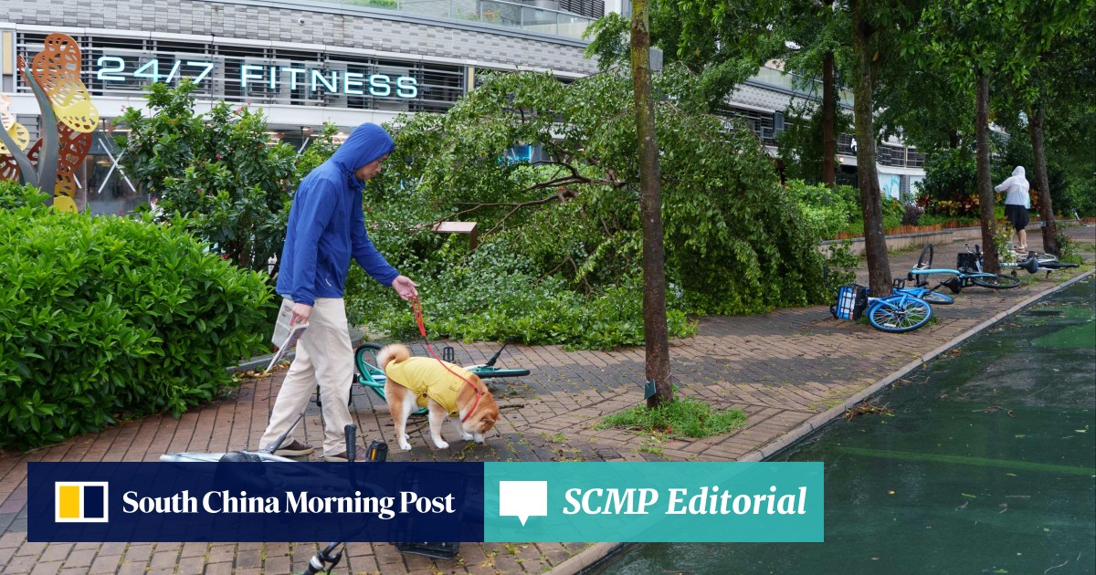 https://cdn.i-scmp.com/sites/default/files/styles/og_image_scmp_editorial/public/d8/images/canvas/2025/07/21/8b231326-b155-4e19-9604-7687e919a2b2_70048721.jpg?itok=BNdYoSTU&v=1753100218