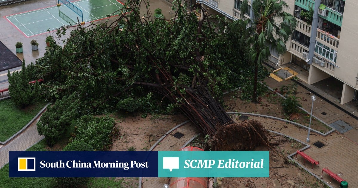 https://cdn.i-scmp.com/sites/default/files/styles/og_image_scmp_editorial/public/d8/images/canvas/2025/09/24/067b801b-684d-4618-90e6-f5cc848ce78c_1964670f.jpg?itok=0tqUd2Z3&v=1758707772