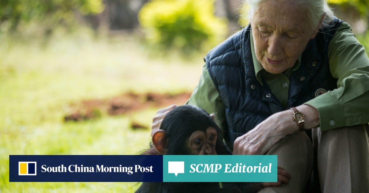 https://cdn.i-scmp.com/sites/default/files/styles/og_image_scmp_editorial/public/d8/images/canvas/2025/10/03/0526a84c-e9b7-48c7-9694-2c4d5741565c_9e21ef09.jpg?itok=C27f8zXQ&v=1759480549