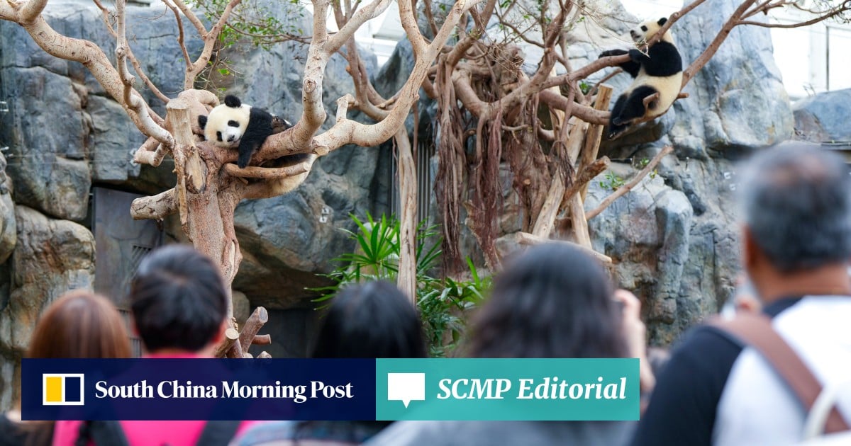 https://cdn.i-scmp.com/sites/default/files/styles/og_image_scmp_editorial/public/d8/images/canvas/2025/10/24/a011cc42-60df-4241-9426-dab4df3672fa_31c3f67c.jpg?itok=xomsEOxl&v=1761286540