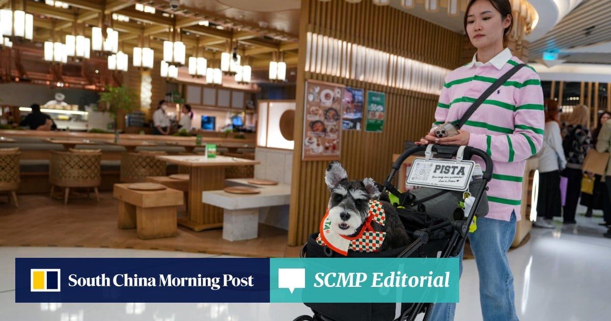 Furry friends in restaurants a big step towards a pet-friendly Hong Kong