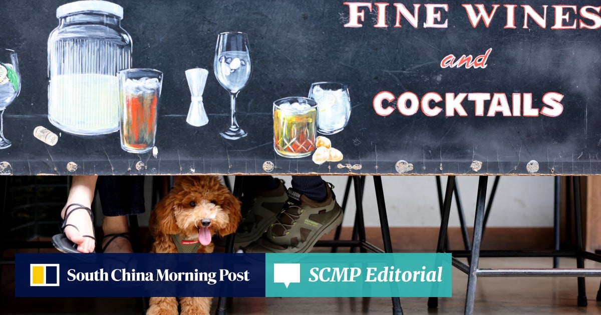 https://cdn.i-scmp.com/sites/default/files/styles/og_image_scmp_editorial/public/d8/images/canvas/2026/05/20/be3b09c2-bf99-41c3-8064-cc25120f9d59_8d17ba5e.jpg?itok=wJnYXGjy&v=1779273271