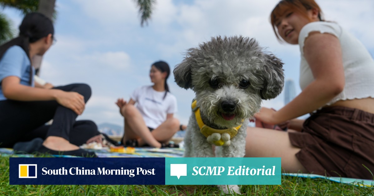 https://cdn.i-scmp.com/sites/default/files/styles/og_image_scmp_editorial/public/d8/images/canvas/2026/06/05/e268f77c-83a1-4996-8289-9052af759a43_e821e1e6.jpg?itok=HTw0-hmf&v=1780648856