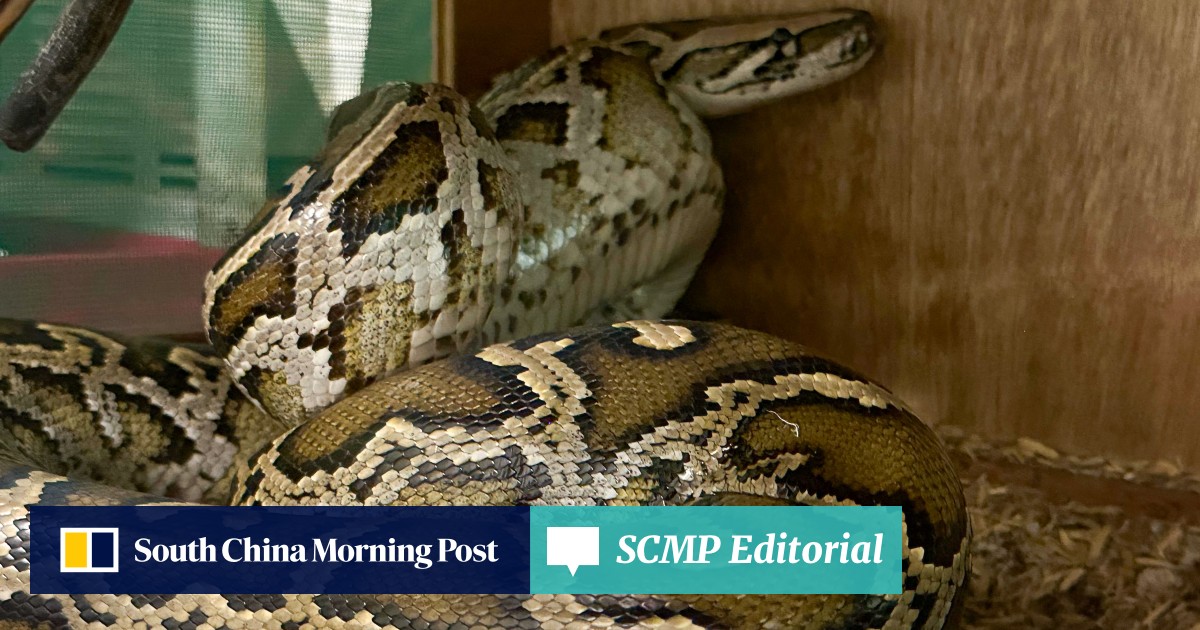 https://cdn.i-scmp.com/sites/default/files/styles/og_image_scmp_editorial/public/d8/images/canvas/2026/06/29/b090e454-fd65-45fd-b750-5d2e83684cd2_3b33dc33.jpg?itok=hIhNJi_z&v=1782716139
