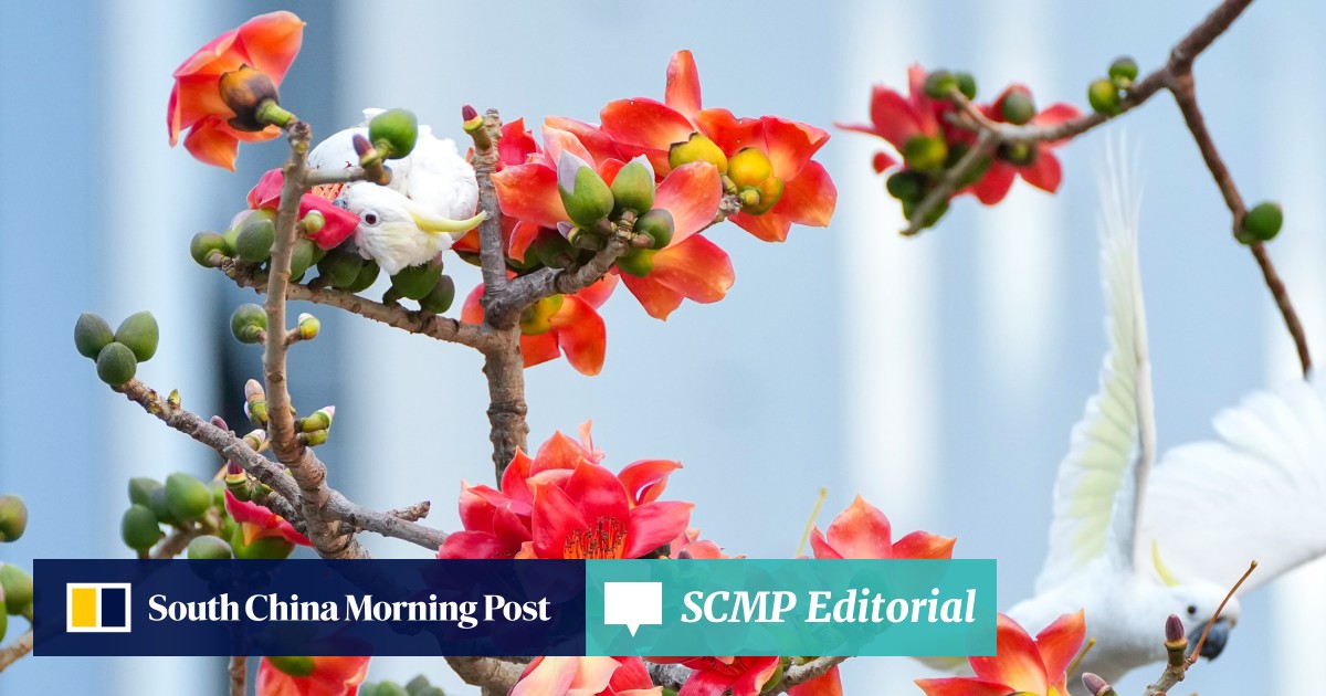 Hong Kong’s biodiversity successes should spark more action