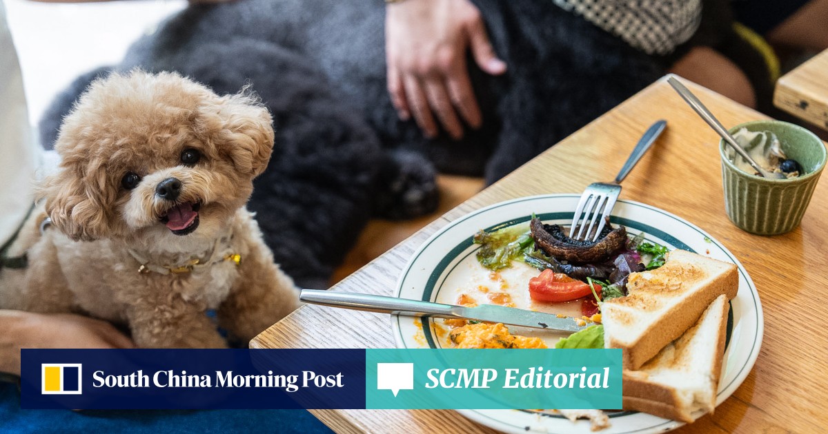 https://cdn.i-scmp.com/sites/default/files/styles/og_image_scmp_editorial/public/d8/images/canvas/2026/07/14/fbb8c080-f6dc-44e8-9247-a33cf08b2f9d_237e12a2.jpg?itok=-3vILbGB&v=1784003397