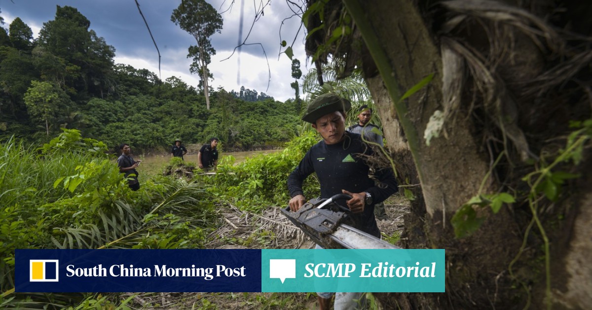 Malaysia And Indonesia Threaten Boycott Of Eu Products Say - 