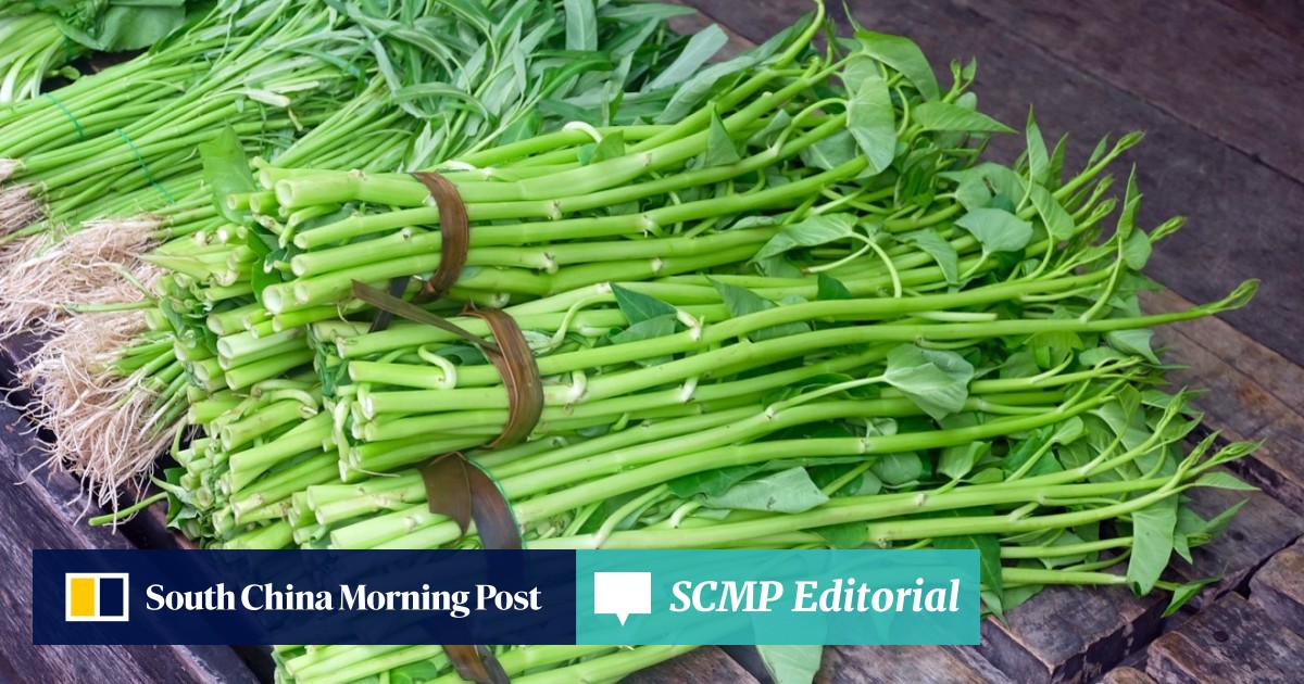 Chinese Water Spinach Or Kangkong Eaten Widely Across Asia But