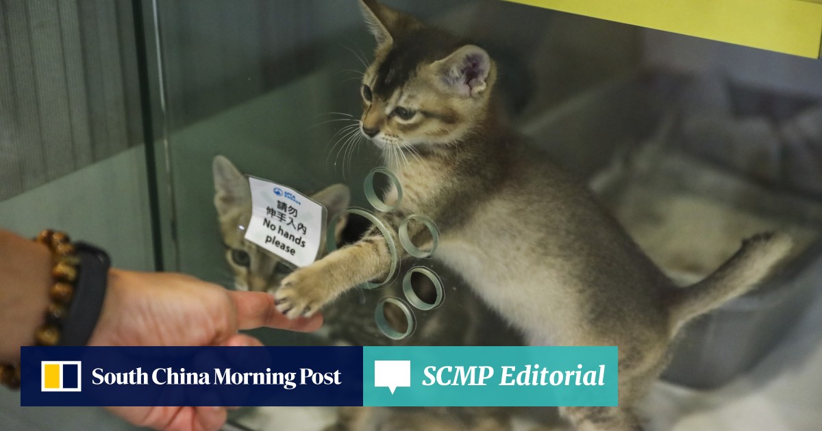 Hong Kong’s animal control policy can be better carried out | South