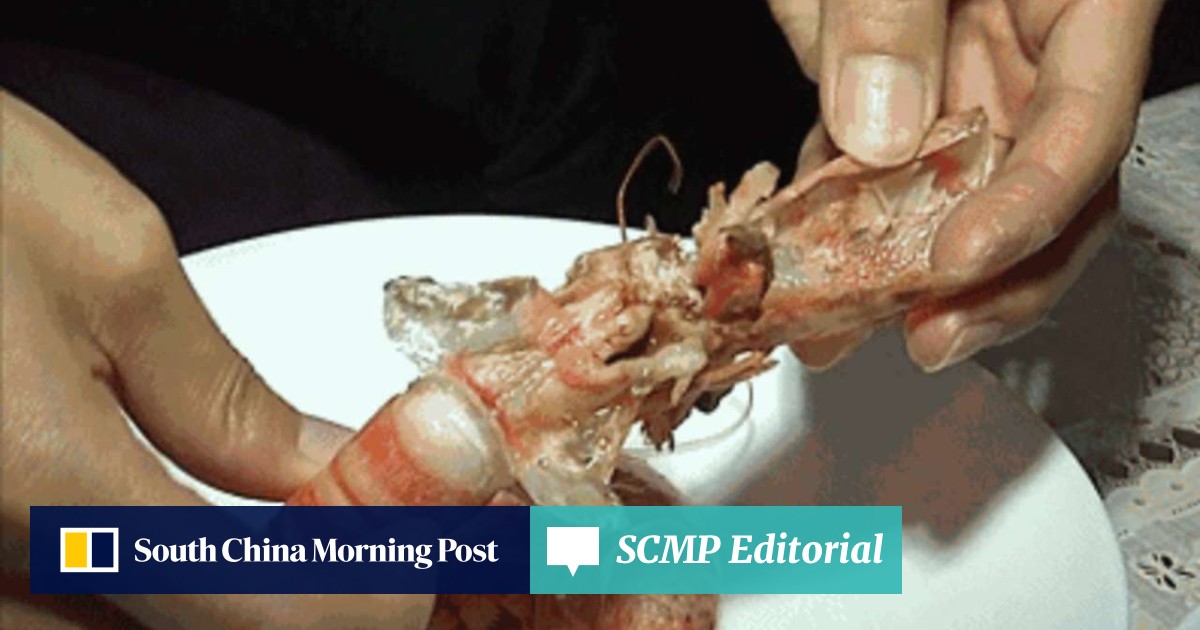 Chinese authorities seize shrimps injected with gelatin from local