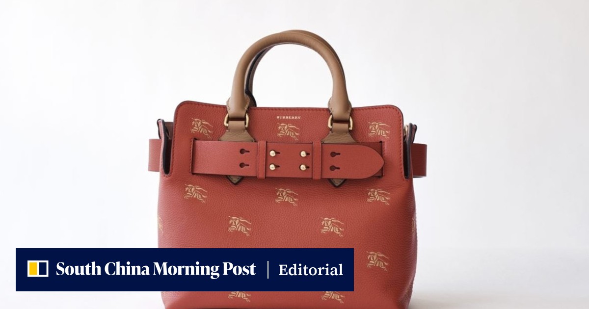 Burberry Tan and Red Belt Bag Leather belt bag Burberry Orange in Leather - 31108070 main image 4