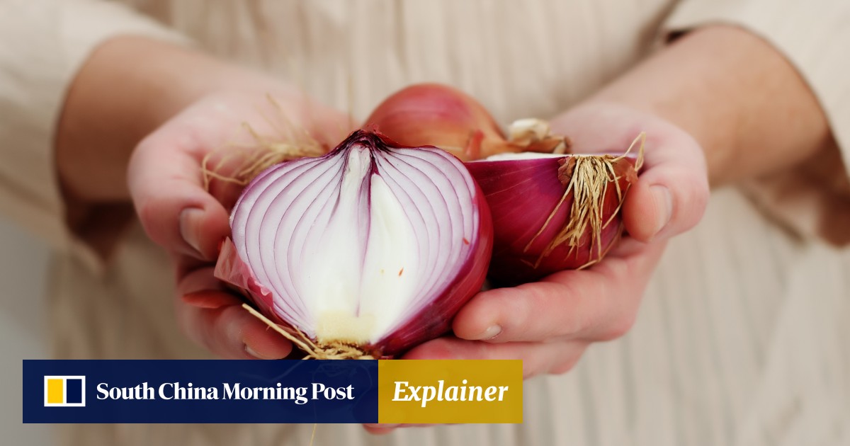 Onions And Garlic Superfoods We Should Love How To Prepare And Cook Them And How To Deal With Garlic Breath South China Morning Post