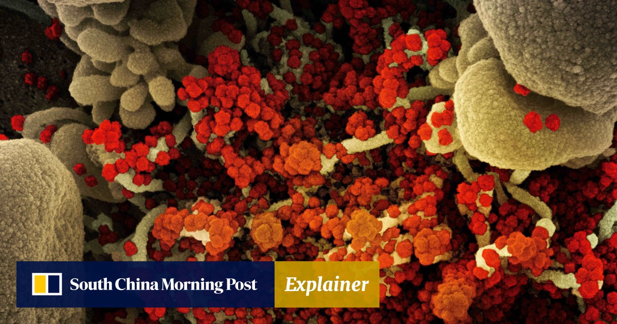 What’s known about ‘stealth’ version of Omicron? South China Morning Post