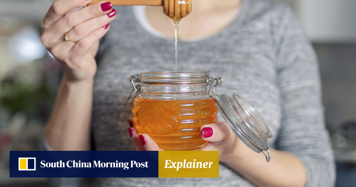 8 gut health benefits of living according to Ayurveda, Indian