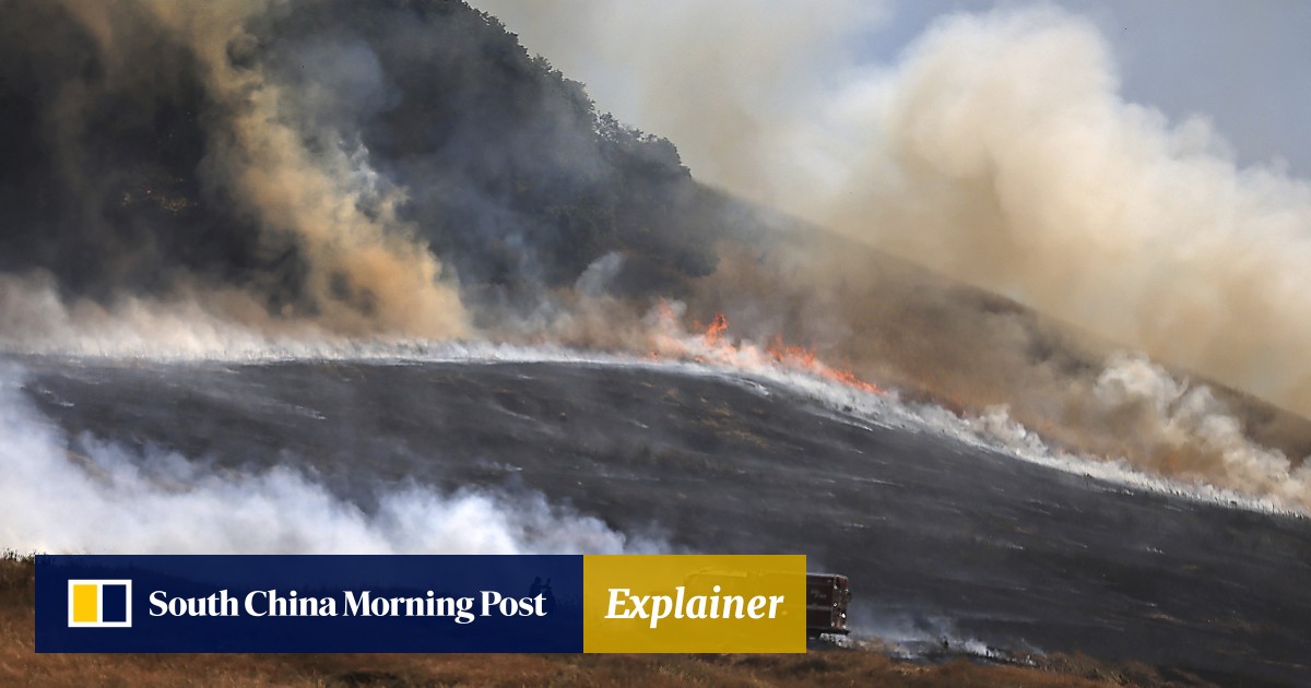From China to the US, how El Nino is helping drive heatwaves, extreme weather