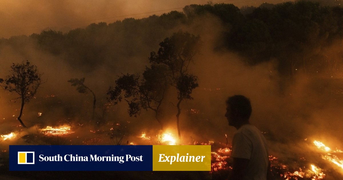 Wildfires raging in Europe: What, where and why?, Explainer News