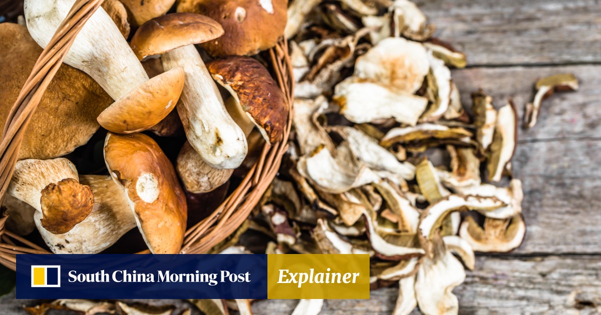Can I get sick from dried mushrooms? How to source, store, soak and