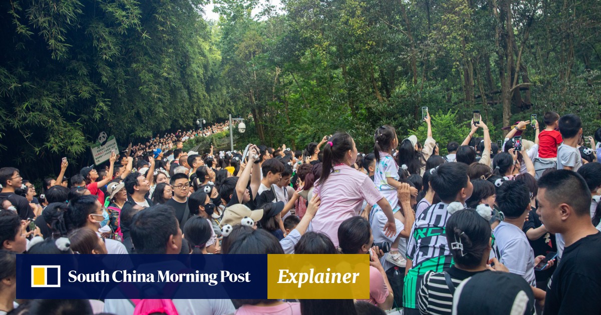 China Weather in March 2024: Destinations, Crowds, and Costs - Tips for Avoiding Crowds and Enjoying a More Peaceful Experience