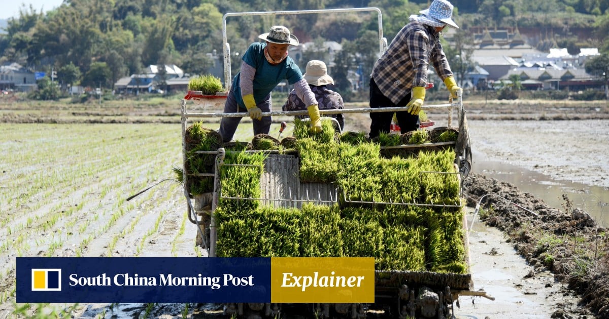 Explainer Land Has Played A Critical Role In China S Economic Rise Explainer Land Has Played A Critical Role In China S Economic Rise