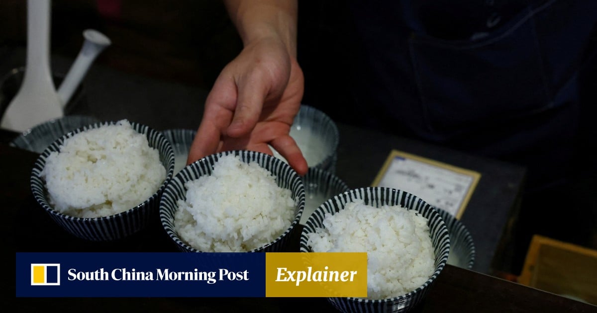 https://cdn.i-scmp.com/sites/default/files/styles/og_image_scmp_explainer/public/d8/images/canvas/2025/05/23/b3b89d8d-907c-4f76-a3ce-de9b269e3ac7_3ff79349.jpg?itok=Jju1qQIN&v=1747984135
