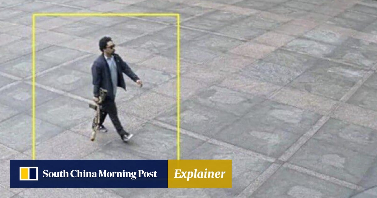 https://cdn.i-scmp.com/sites/default/files/styles/og_image_scmp_explainer/public/d8/images/canvas/2025/07/30/c644f314-bfa7-4c84-bed5-f3c429607586_260e7780.jpg?itok=FWgUp4j5&v=1753852967