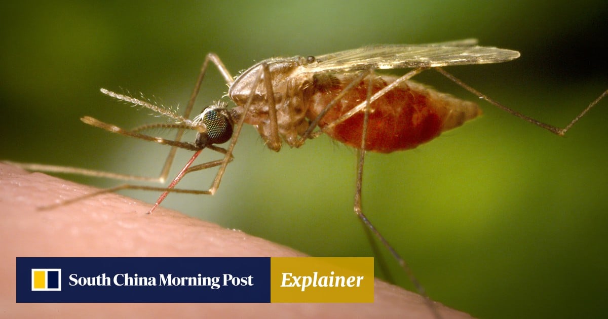 https://cdn.i-scmp.com/sites/default/files/styles/og_image_scmp_explainer/public/d8/images/canvas/2025/08/01/31030366-e0cb-4b60-b7db-6221571656c3_aa70c589.jpg?itok=AgRYr2eI&v=1754004911