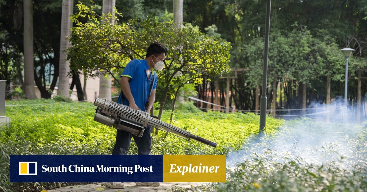 https://cdn.i-scmp.com/sites/default/files/styles/og_image_scmp_explainer/public/d8/images/canvas/2025/08/02/c807cb35-c834-460c-a12e-a638be82bcc6_9dc05ba9.jpg?itok=ON87H2ij&v=1754147565
