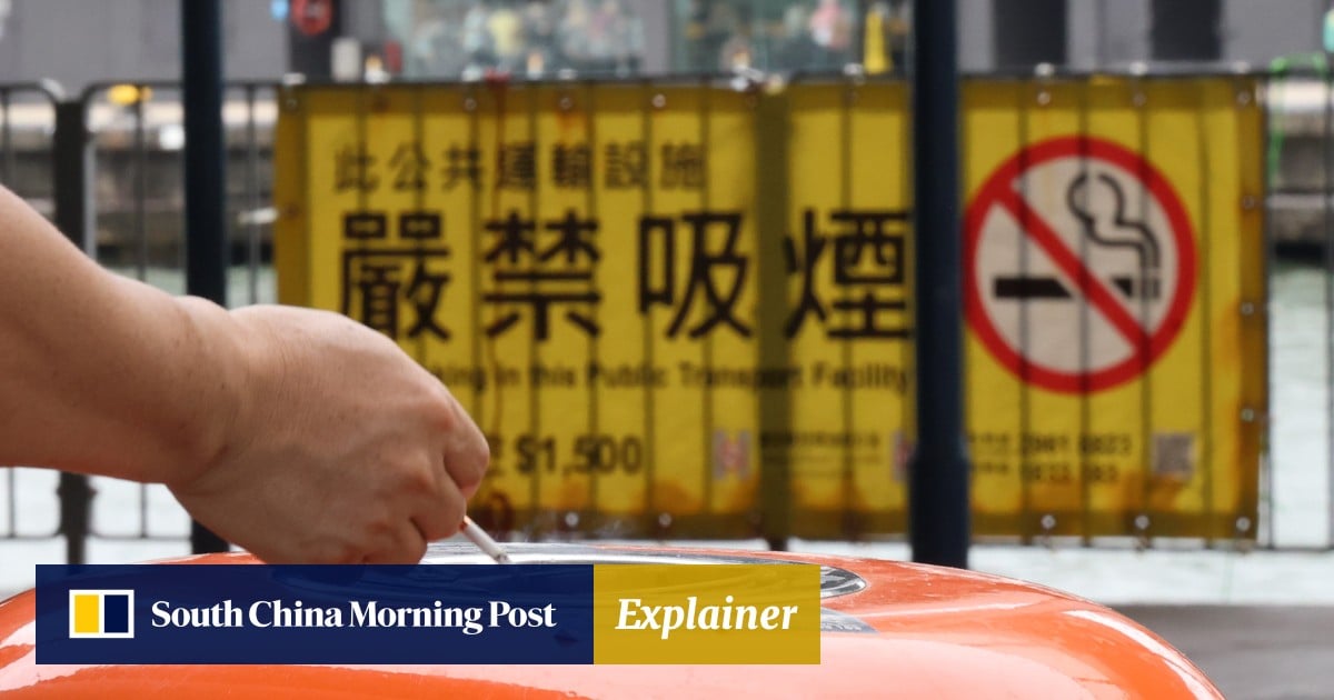 https://cdn.i-scmp.com/sites/default/files/styles/og_image_scmp_explainer/public/d8/images/canvas/2025/09/13/160498f2-67fb-4d9c-b288-bf6927f8a610_cab824f7.jpg?itok=-a_vYRDM&v=1757757774