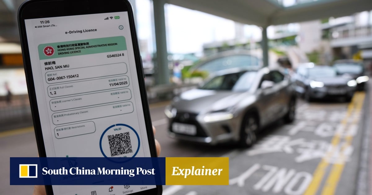 https://cdn.i-scmp.com/sites/default/files/styles/og_image_scmp_explainer/public/d8/images/canvas/2025/09/15/2c12186b-1014-4a1a-b6cd-aec921942171_13c979a3.jpg?itok=hH4wFliE&v=1757934557