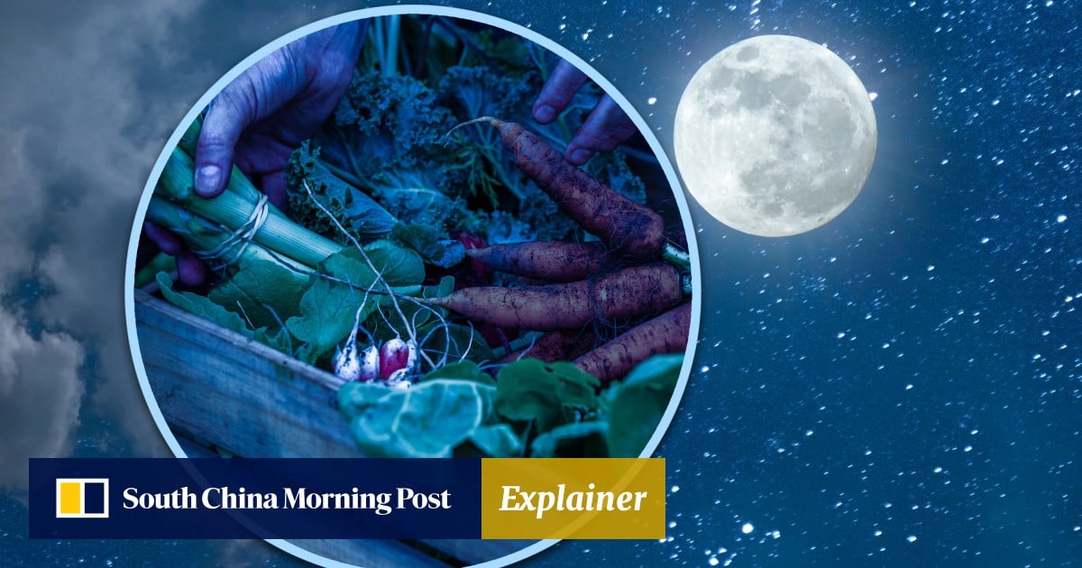 https://cdn.i-scmp.com/sites/default/files/styles/og_image_scmp_explainer/public/d8/images/canvas/2025/09/23/609c2004-635c-4176-bb9e-9bed49a75e8d_dd71bb54.jpg?itok=TuTBMtpv&v=1758620711
