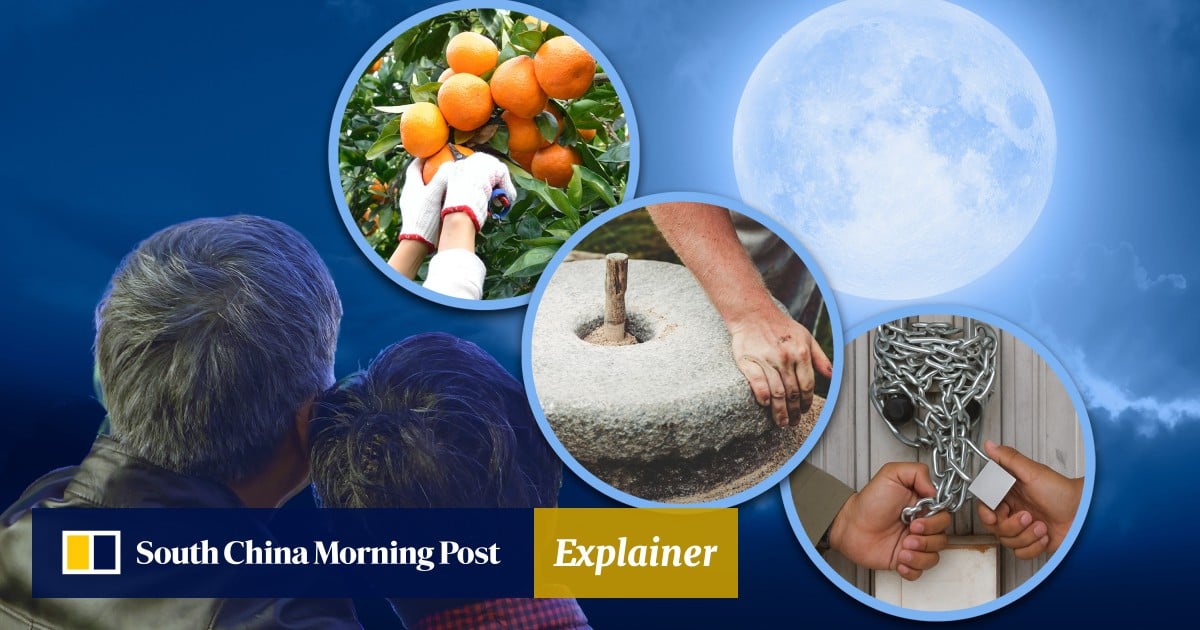 https://cdn.i-scmp.com/sites/default/files/styles/og_image_scmp_explainer/public/d8/images/canvas/2025/09/30/6a03b479-b054-4d01-9fbf-fc6267b0837d_828eb816.jpg?itok=f-iLKGbc&v=1759197559