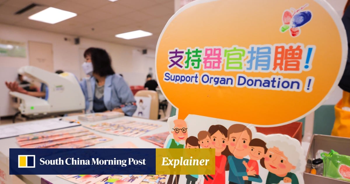 https://cdn.i-scmp.com/sites/default/files/styles/og_image_scmp_explainer/public/d8/images/canvas/2025/10/06/6e4173c8-6c05-4513-a521-eed2a43123f5_24595259.jpg?itok=Xbm-Znlt&v=1759753209