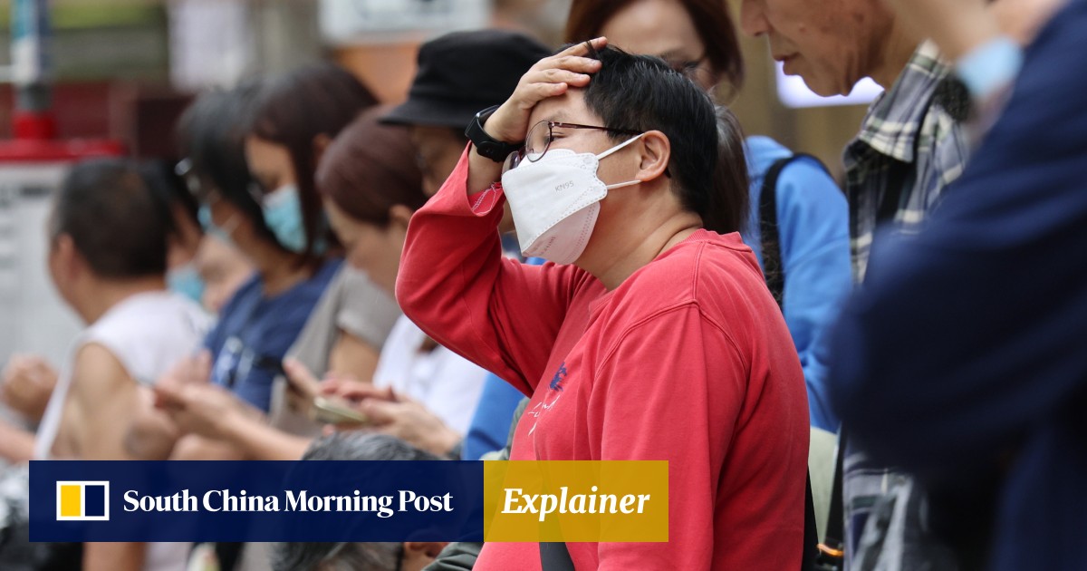 Explainer | How to differentiate the types of flu in Hong Kong and how to protect yourself