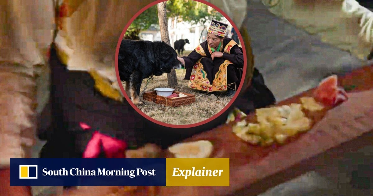 Why Tibetan New Year offers feast for dogs and what divinatory significance do food choices hold