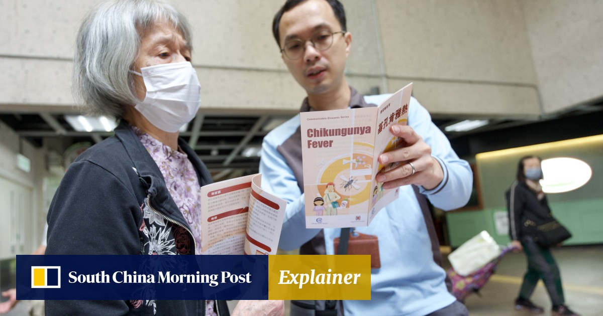 Explainer | Chikungunya fever in Hong Kong: how to stay safe and keep the mosquitoes at bay
