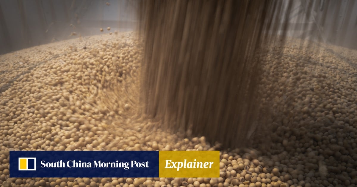 What does future hold for Brazil, US in China’s soybean balancing act?