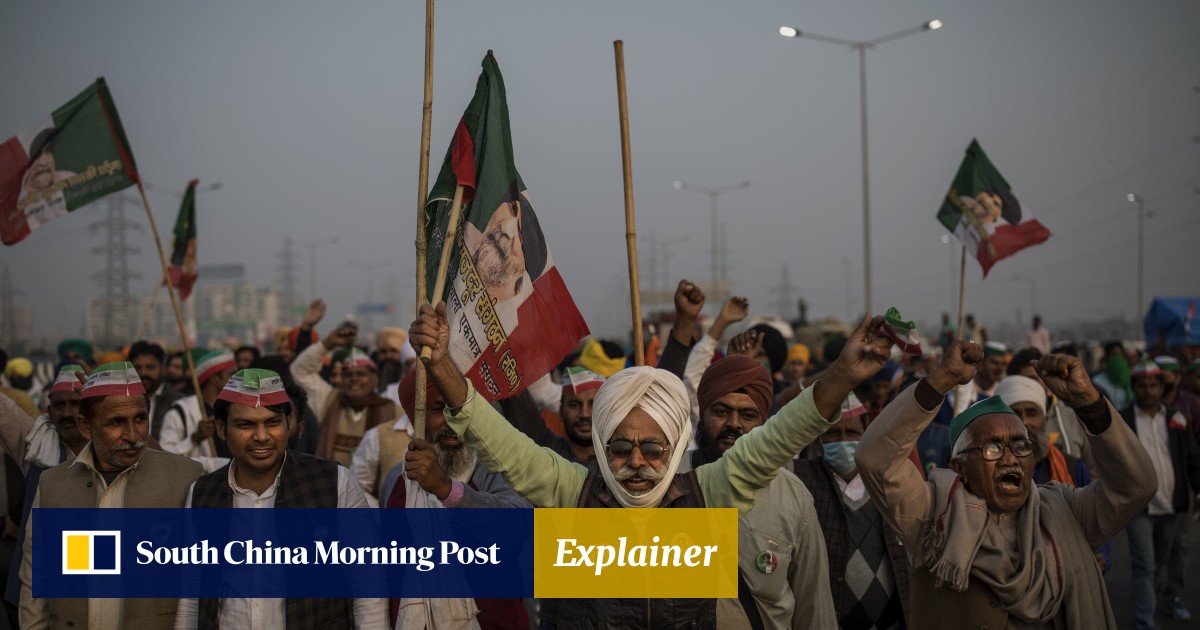 Explainer | why are india’s farmers protesting and will modi reap what he sows?