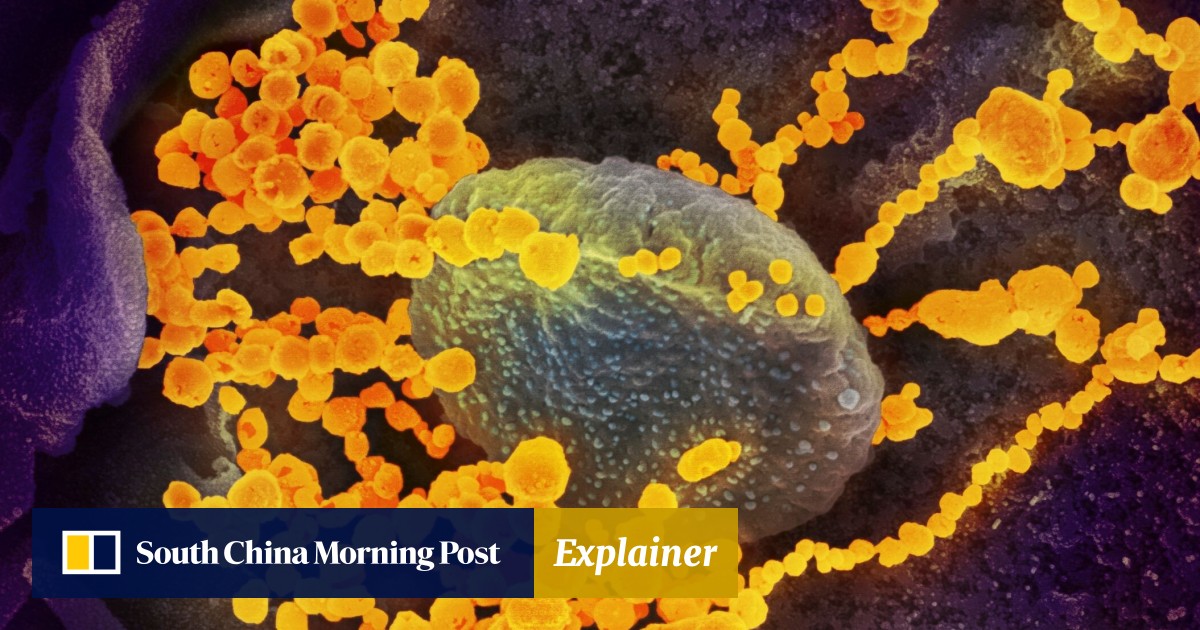 What is the Mu coronavirus variant, and should Hong Kong be worried